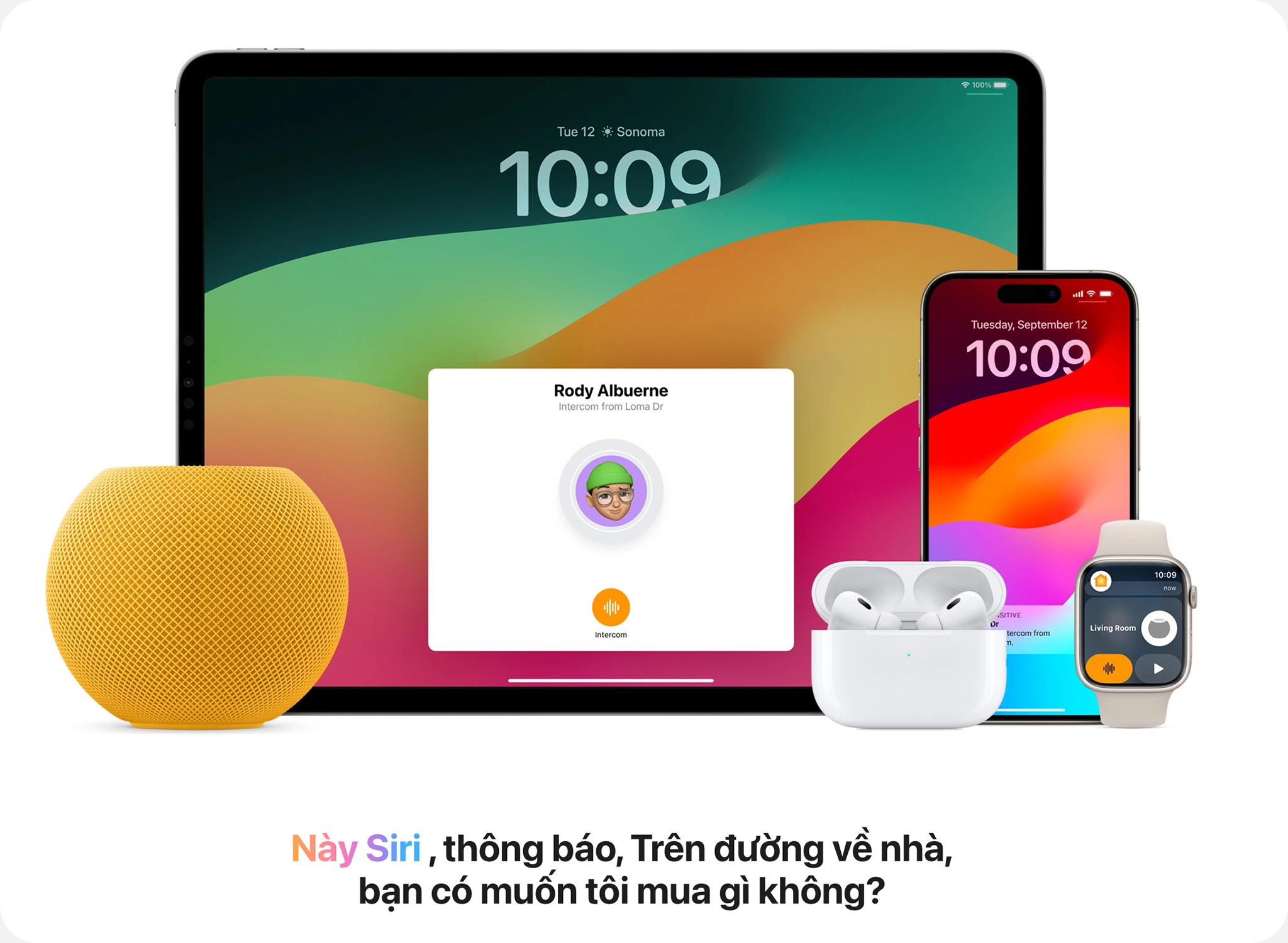 Apple Homepod Mini - Platform